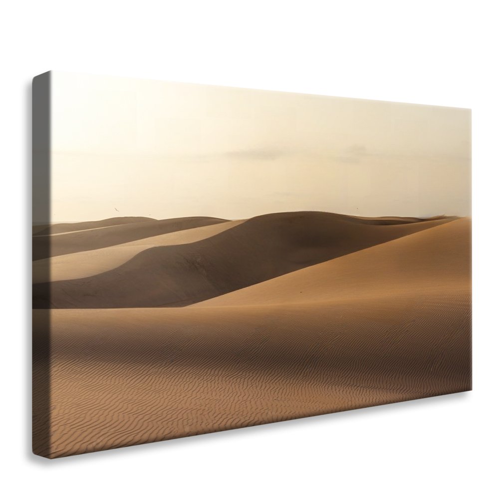 Desert Landscape Canvas