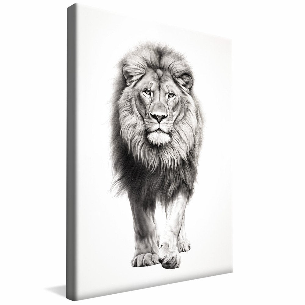 Drawing of Lion Walking V982 Canvas