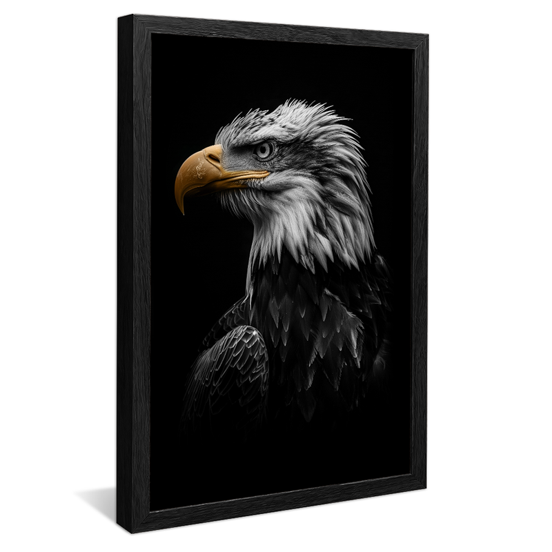 Eagle Portrait V1580 Canvas