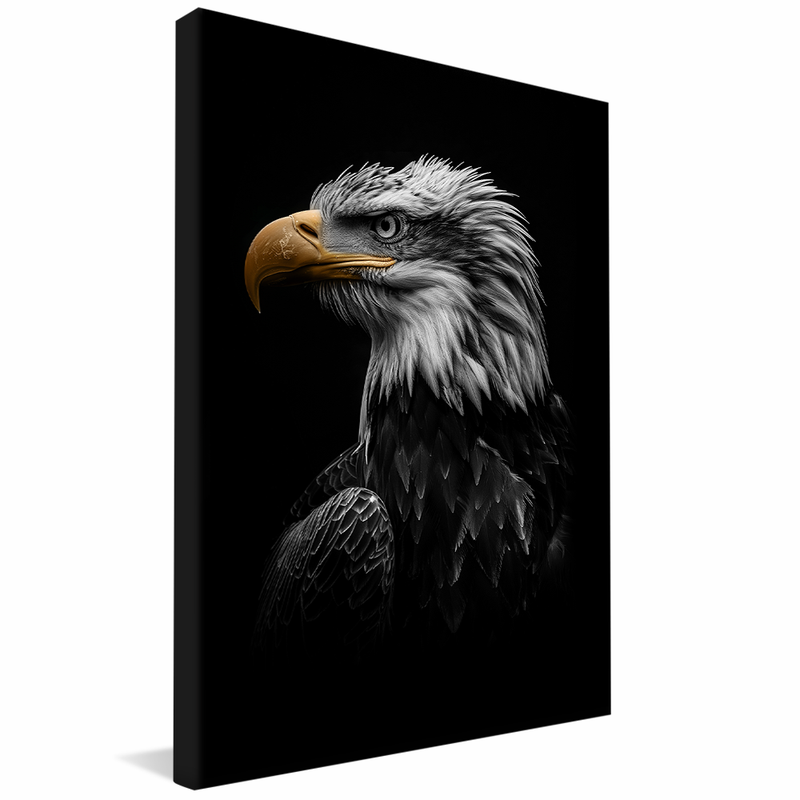 Eagle Portrait V1580 Canvas