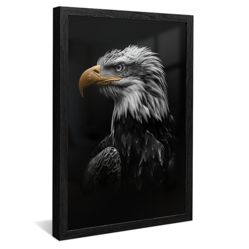 Eagle Portrait V1580 Canvas