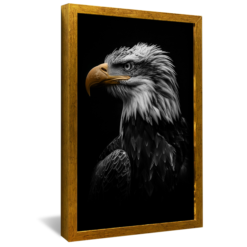 Eagle Portrait V1580 Canvas