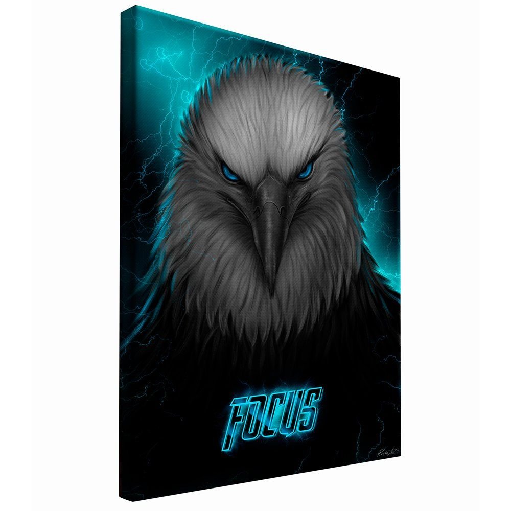 Eagle focus Canvas