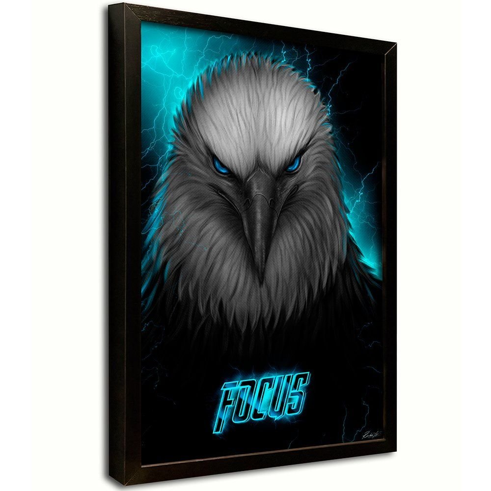 Eagle focus Canvas