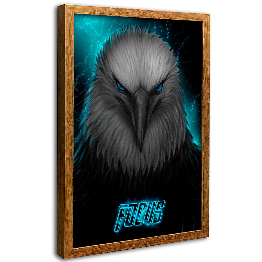 Eagle focus Canvas