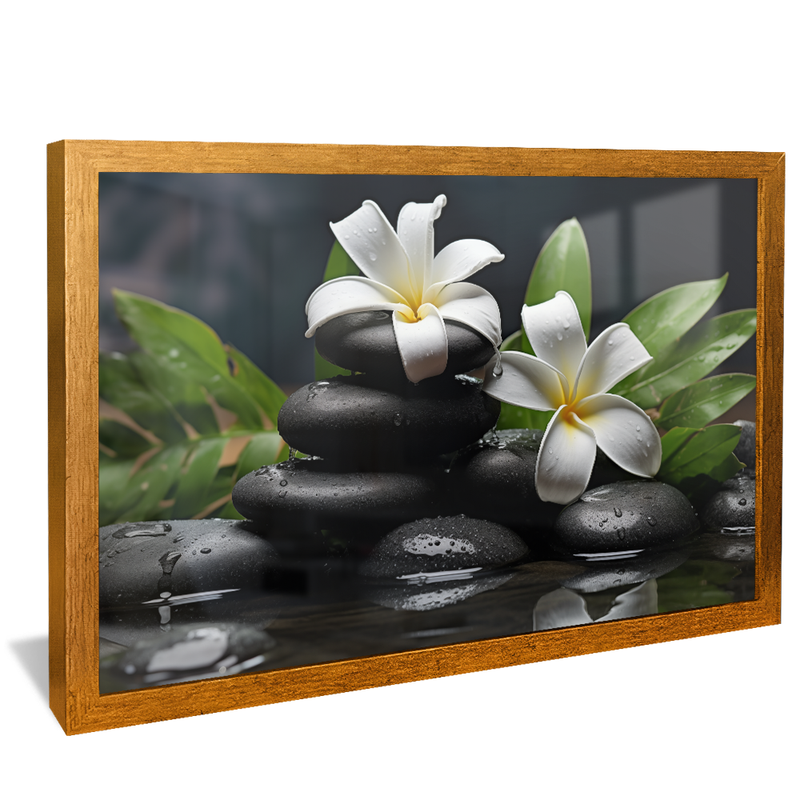 Flowers on Stones V919 Canvas