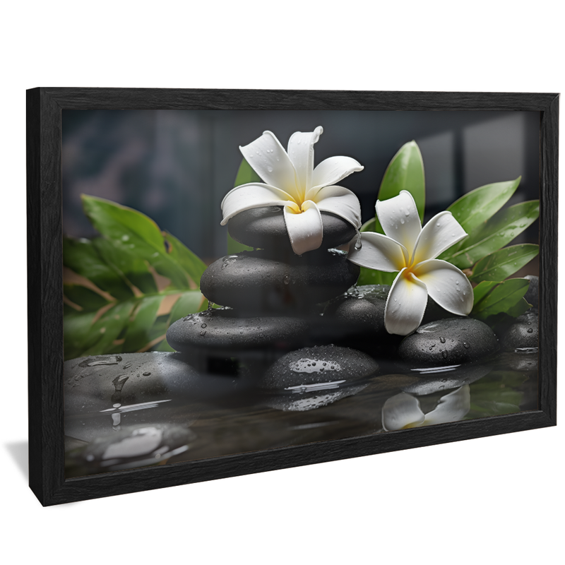 Flowers on Stones V919 Canvas