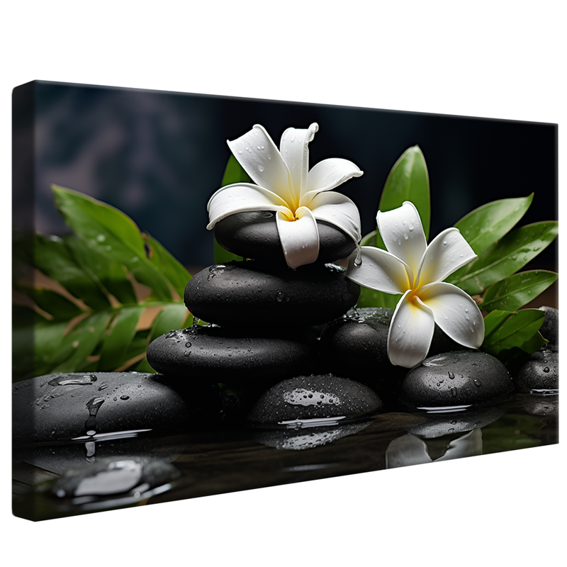 Flowers on Stones V919 Canvas