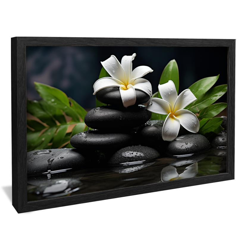 Flowers on Stones V919 Canvas