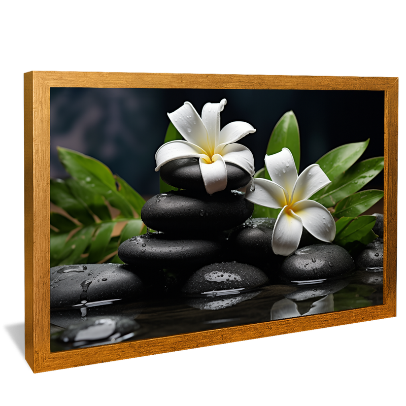 Flowers on Stones V919 Canvas
