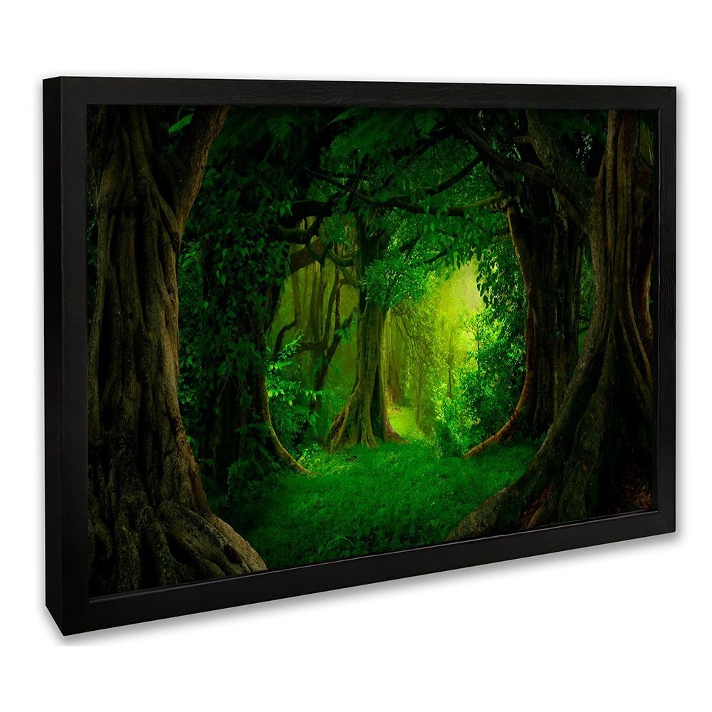 Forest Canvas