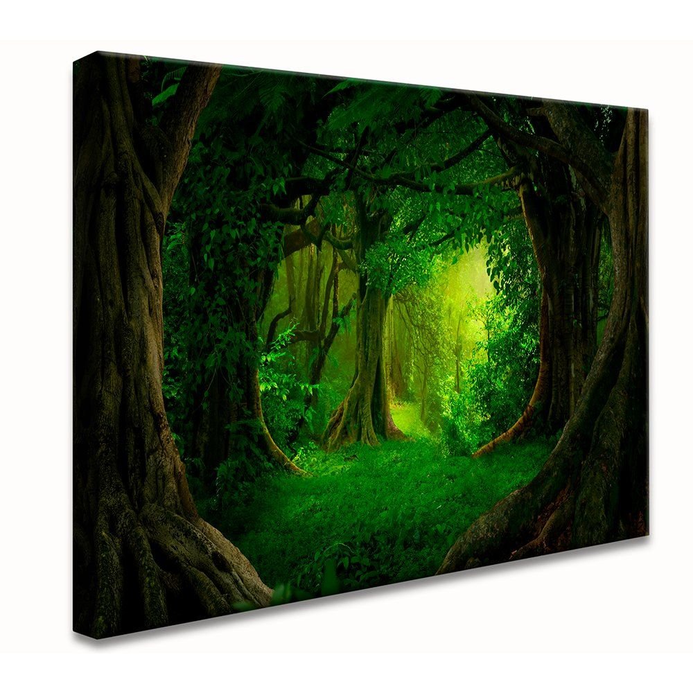 Forest Canvas