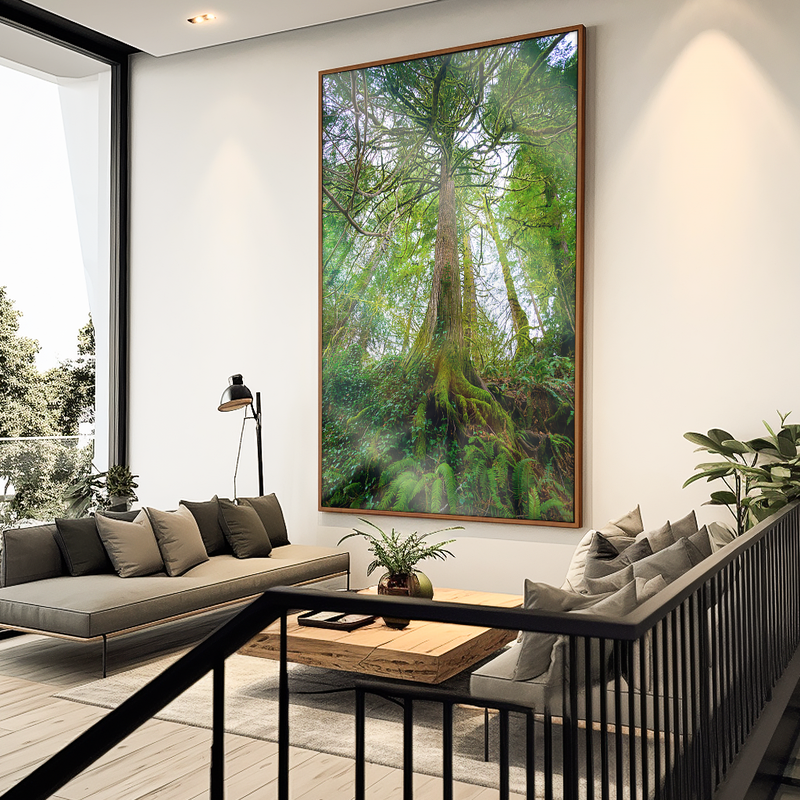 Forest and Roots V1026 Canvas