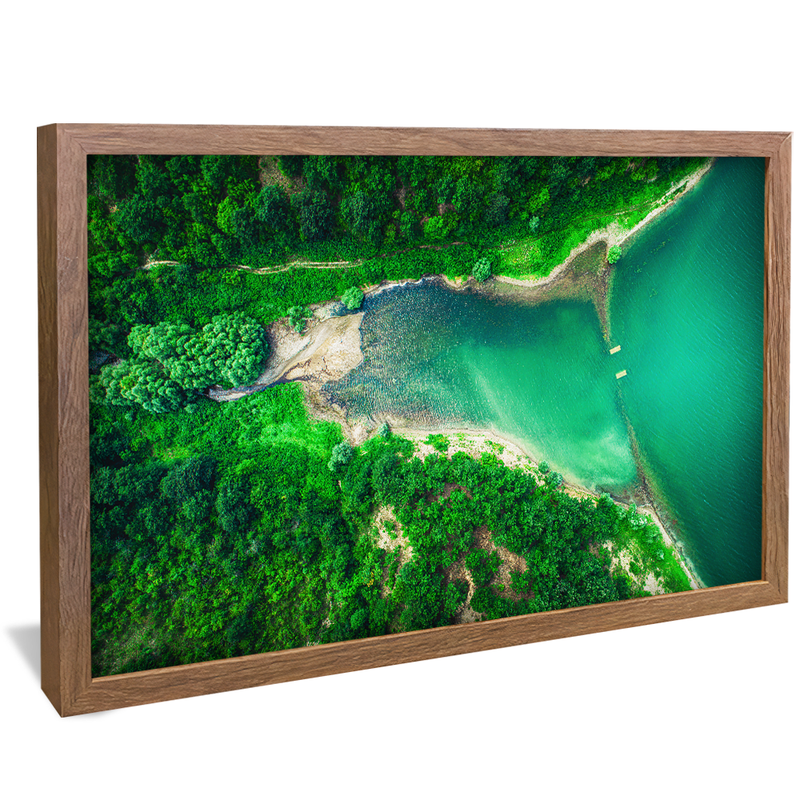 Forest and Sea Bay V1186 Canvas