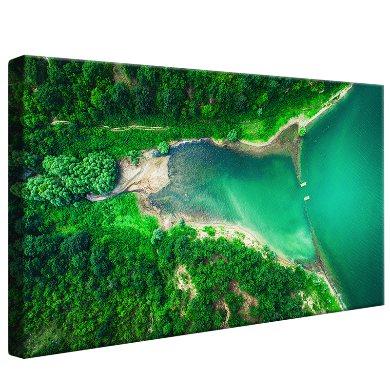 Forest and Sea Bay V1186 Canvas