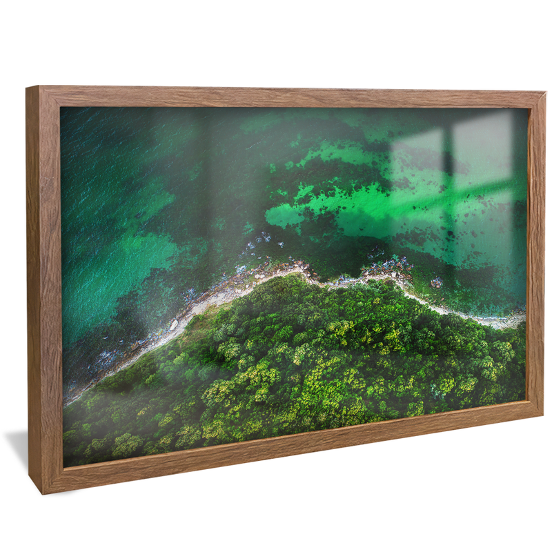 Forest and Sea V1183 Canvas