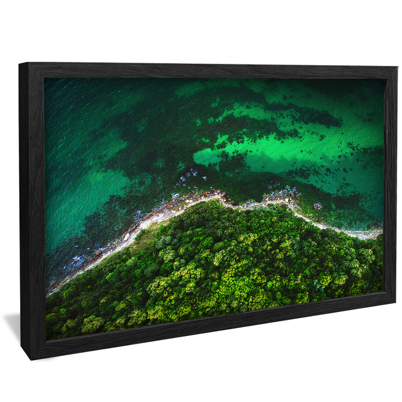 Forest and Sea V1183 Canvas