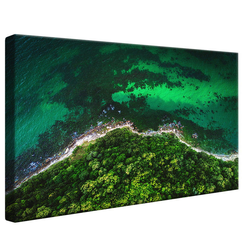 Forest and Sea V1183 Canvas