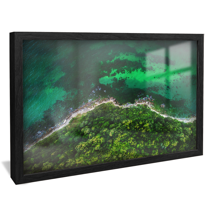 Forest and Sea V1183 Canvas