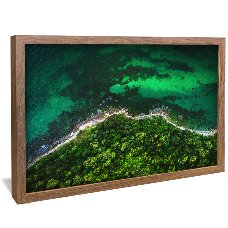 Forest and Sea V1183 Canvas