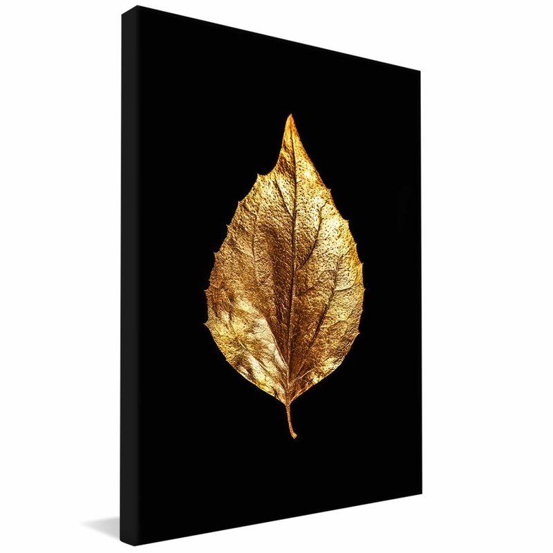 Golden Followage V1690 Canvas