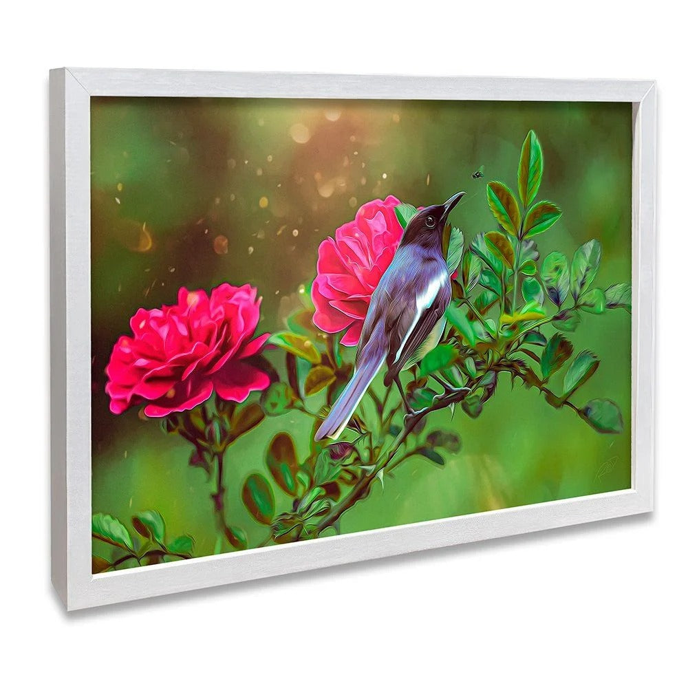 Hummingbird Canvas