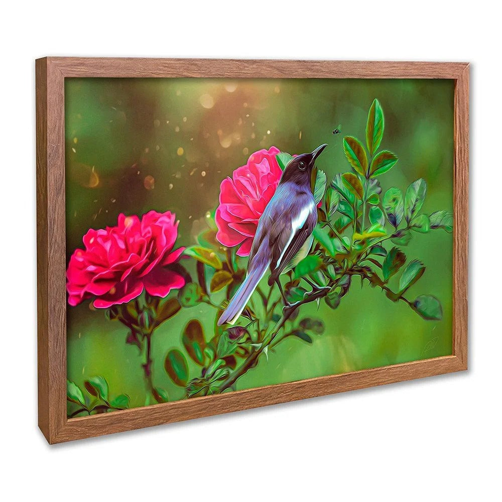 Hummingbird Canvas