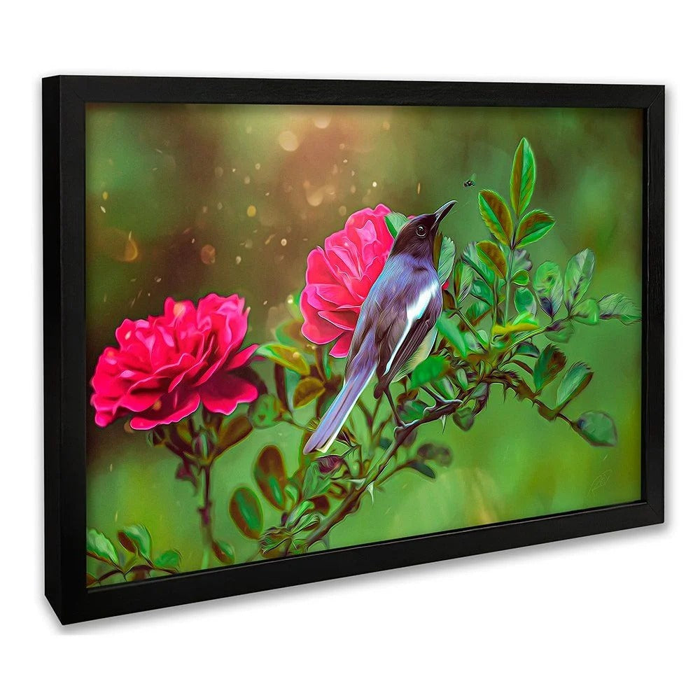 Hummingbird Canvas