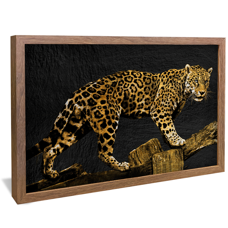 Jaguar V1490 Canvas