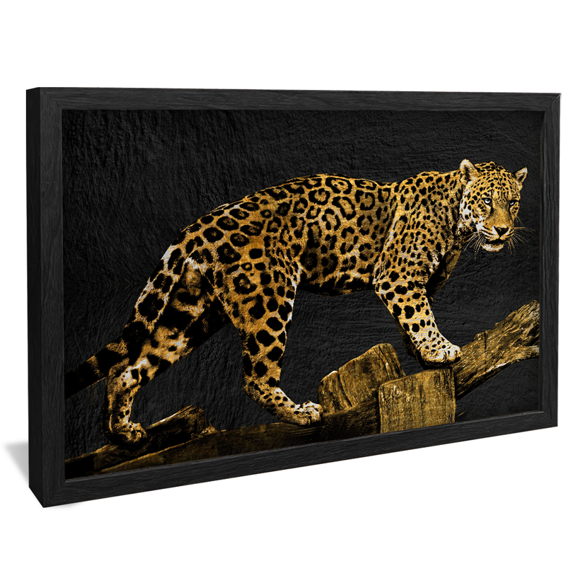 Jaguar V1490 Canvas