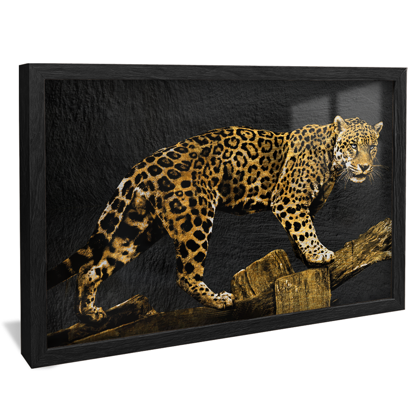 Jaguar V1490 Canvas