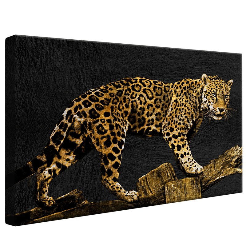 Jaguar V1490 Canvas