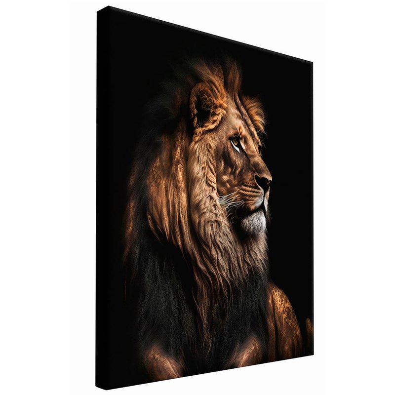 Lion Daniel Canvas