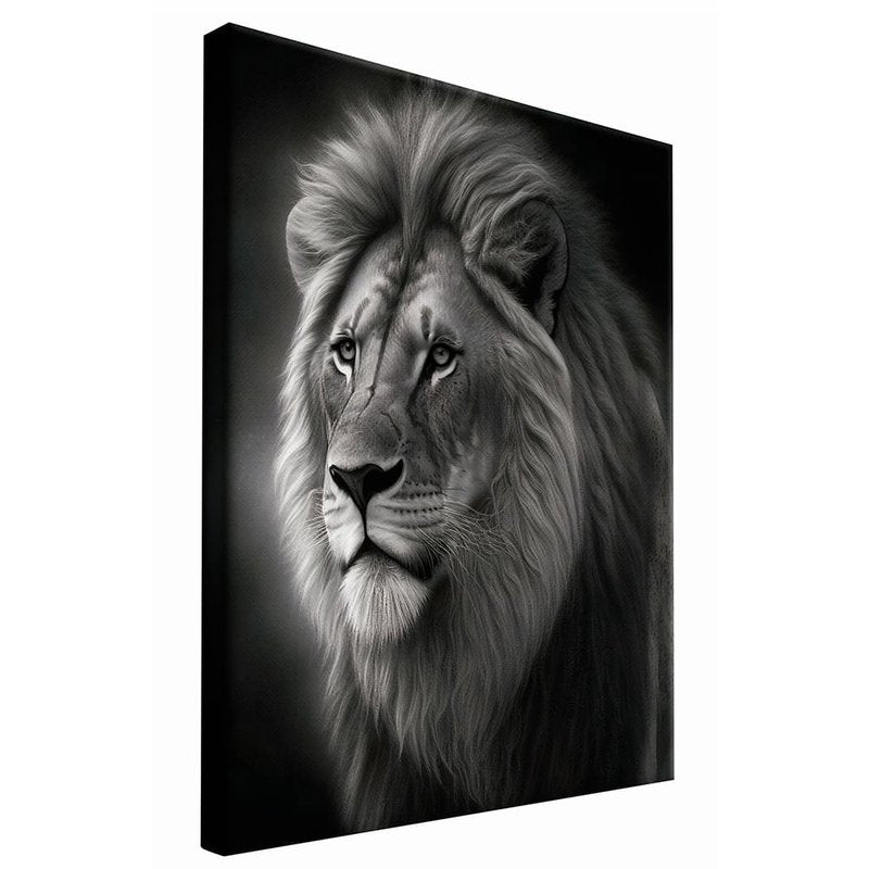 Lion Johnny Canvas