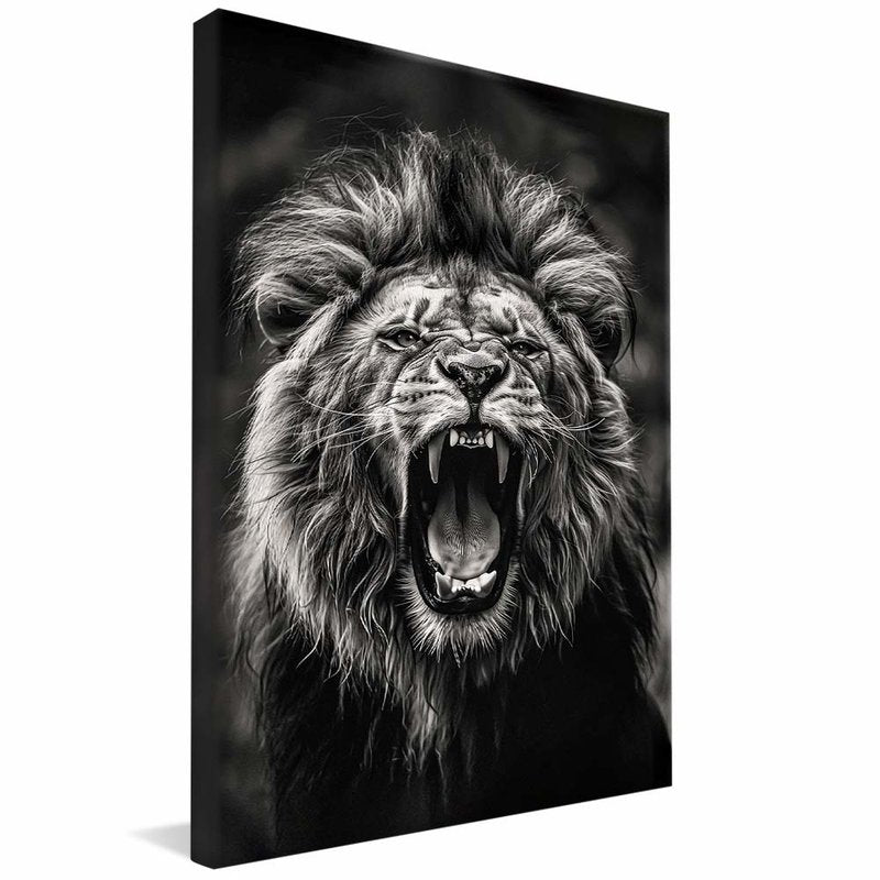 Lion Roaring V1907 Canvas