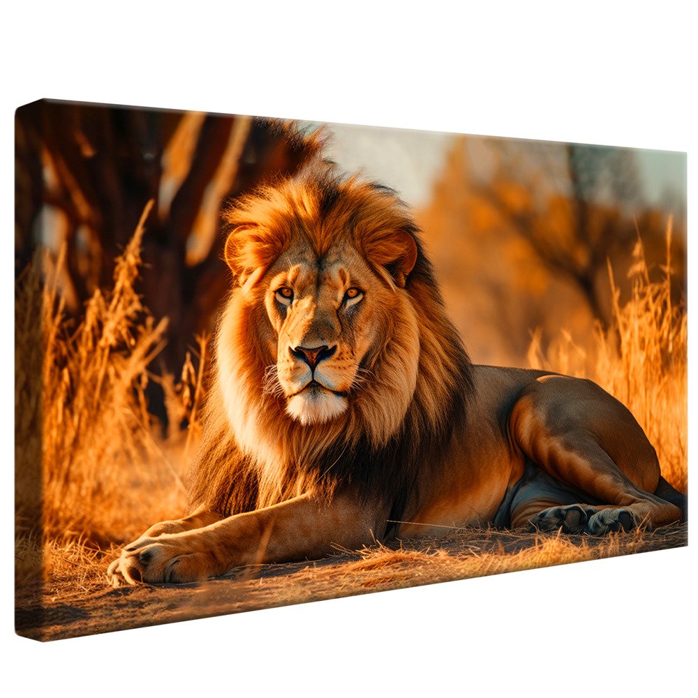 Lion at Rest V871 Canvas