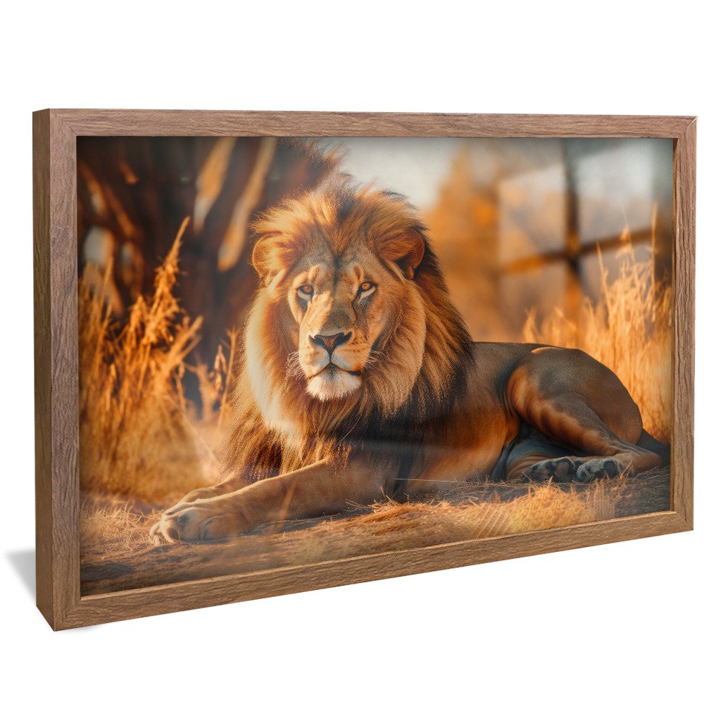 Lion at Rest V871 Canvas