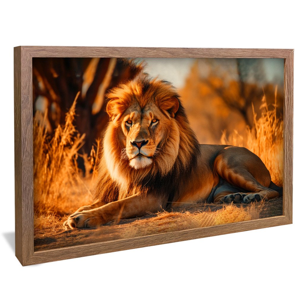 Lion at Rest V871 Canvas