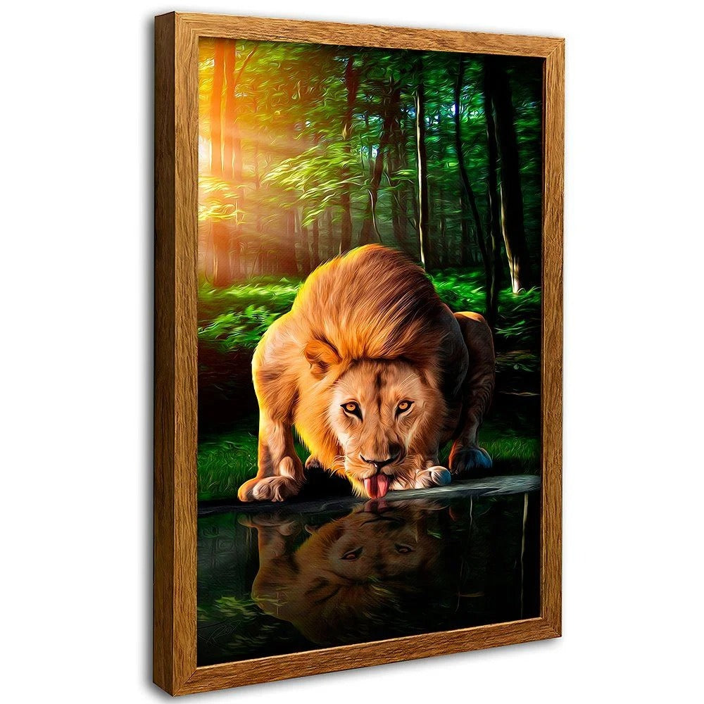 Lion drink water Canvas