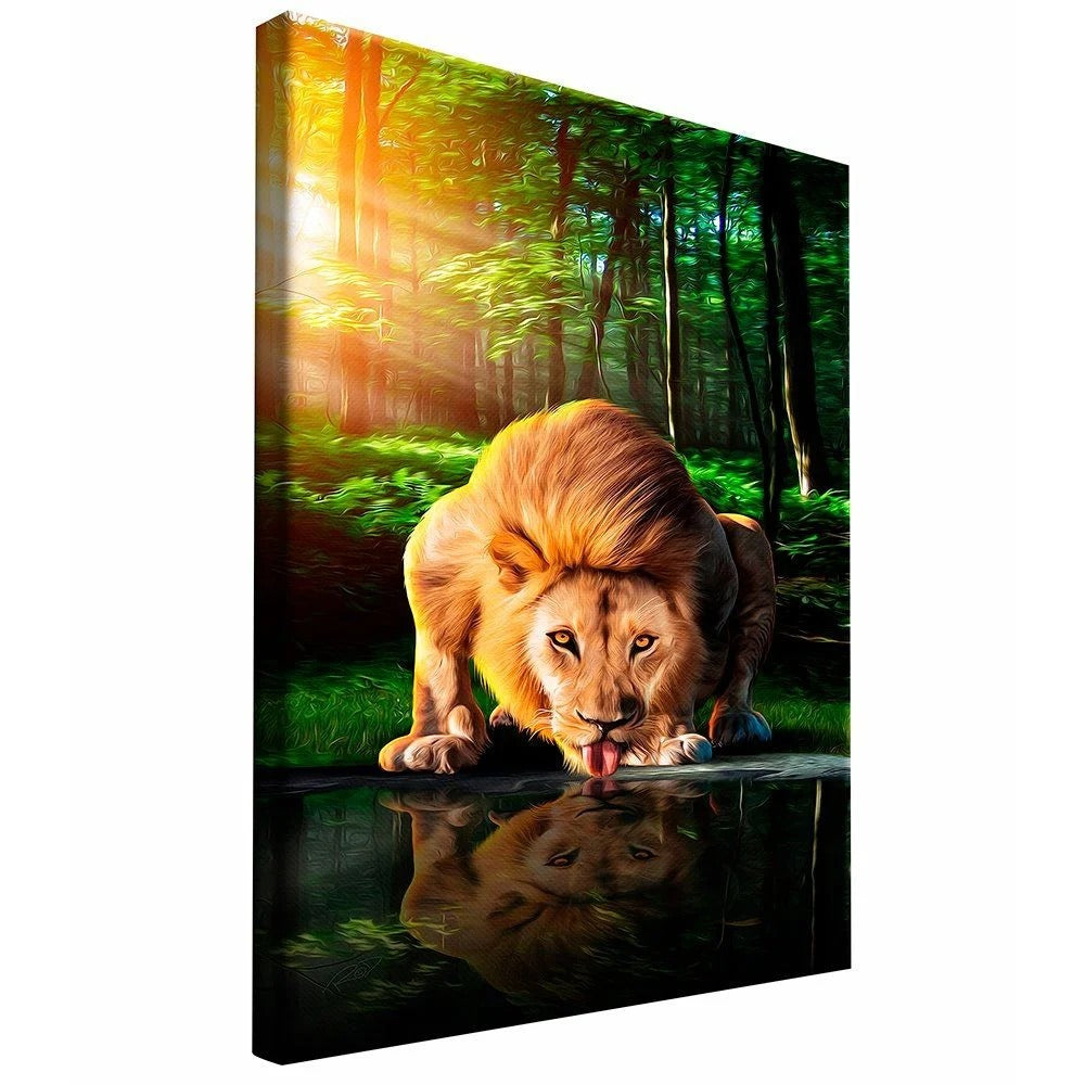 Lion drink water Canvas