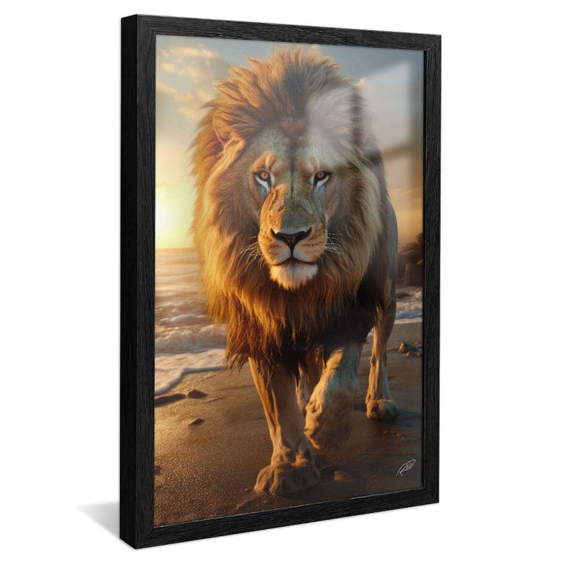 Lion on Praia V1806 Canvas