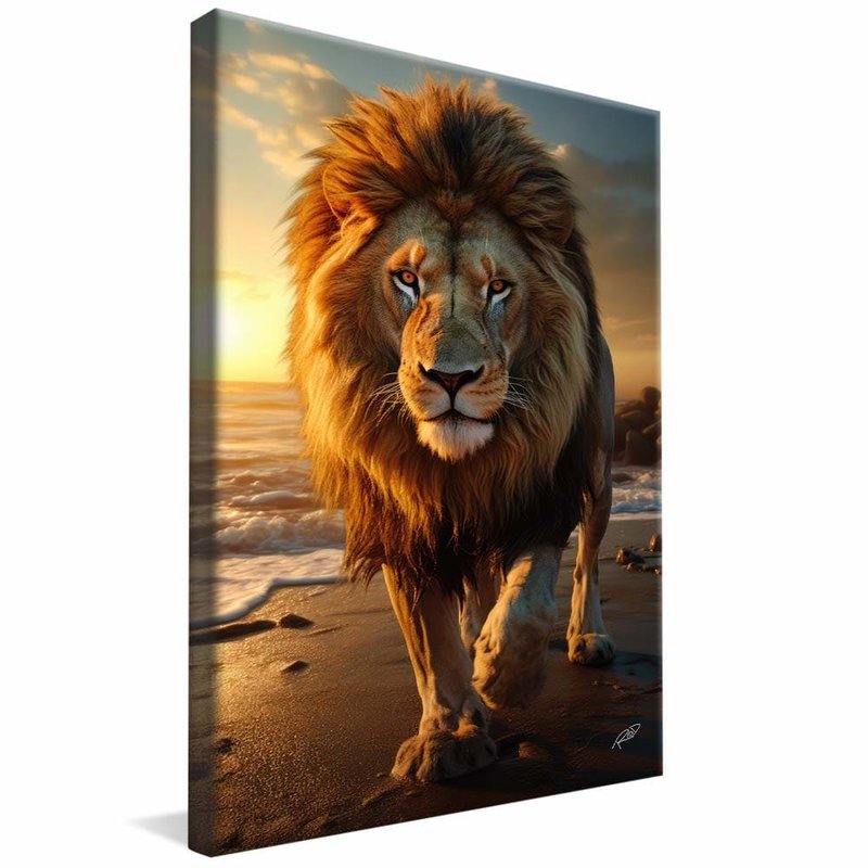 Lion on Praia V1806 Canvas