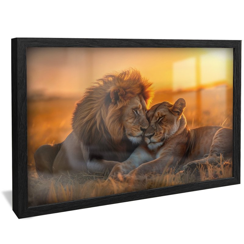 Lions Couple V1542 Canvas