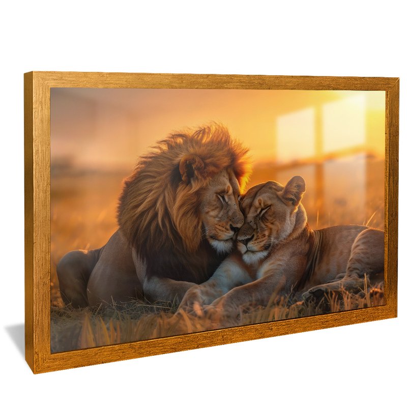 Lions Couple V1542 Canvas