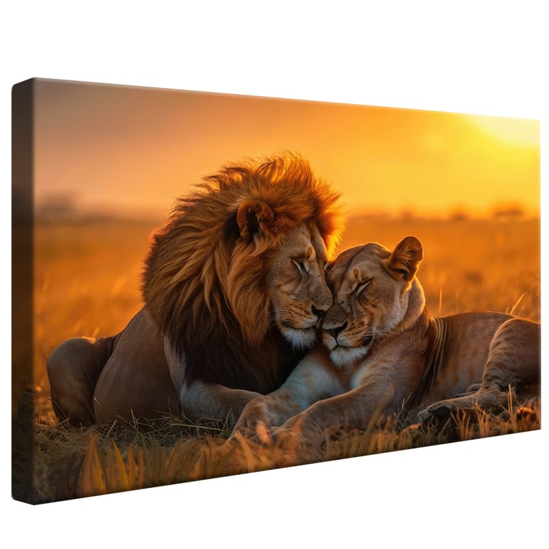 Lions Couple V1542 Canvas