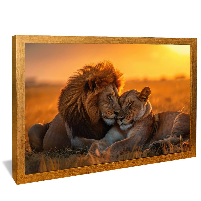 Lions Couple V1542 Canvas