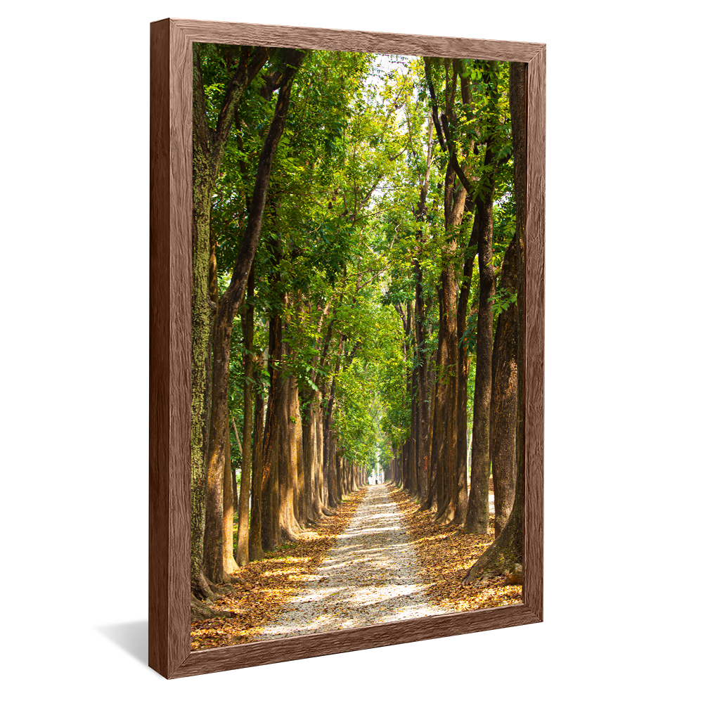 Lush Green Forest V1420 Canvas