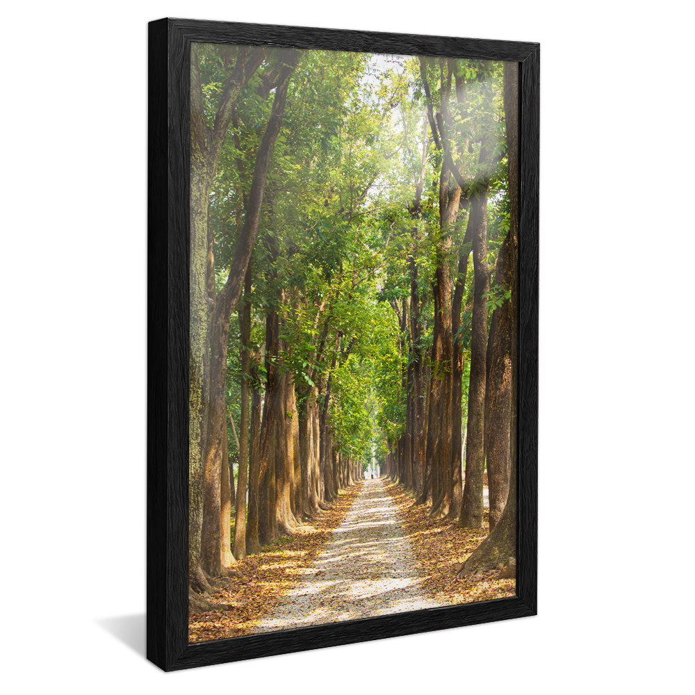 Lush Green Forest V1420 Canvas