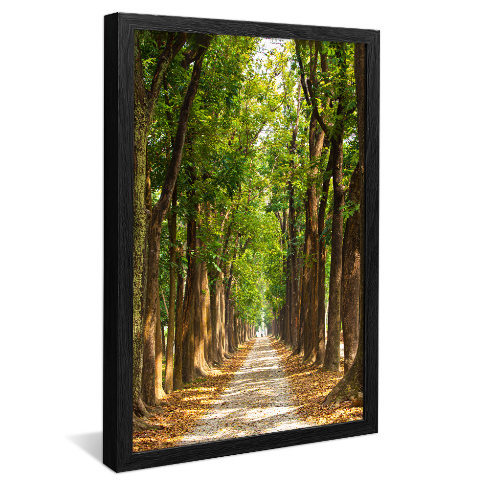 Lush Green Forest V1420 Canvas