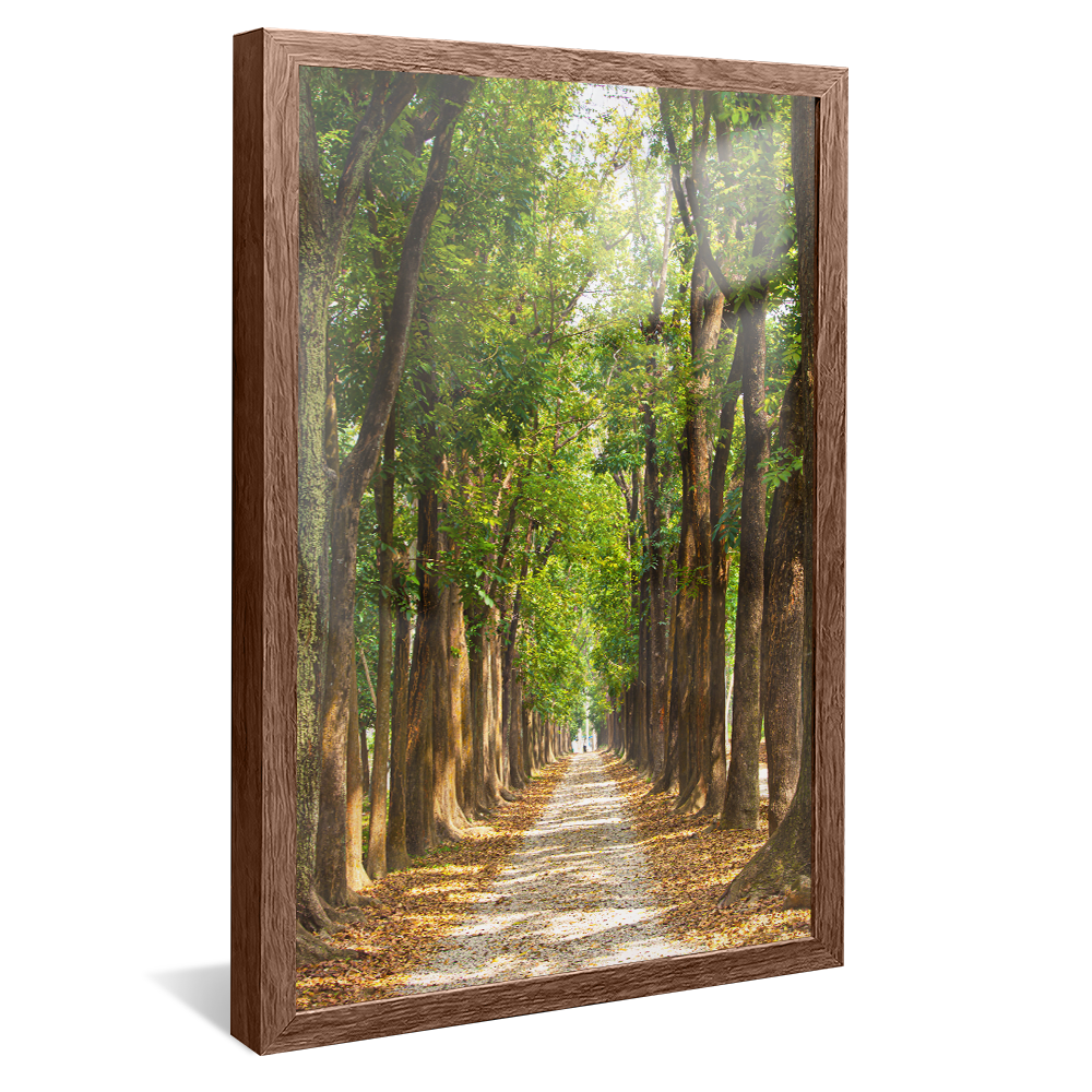 Lush Green Forest V1420 Canvas